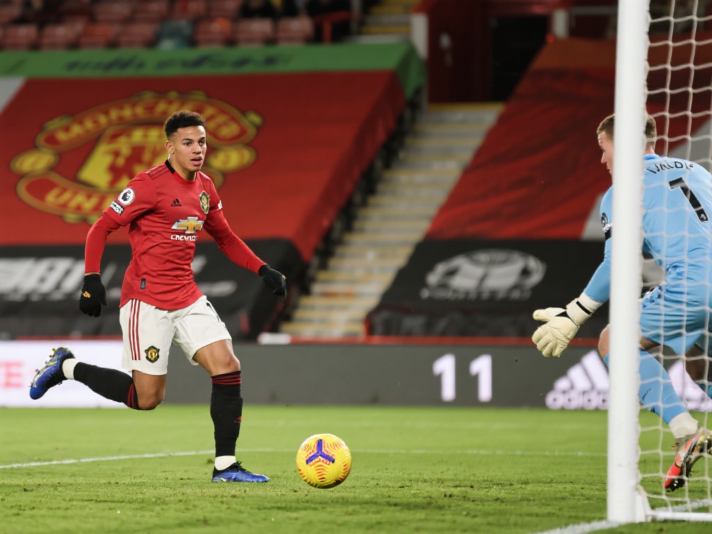 如果你不确 如果你不确