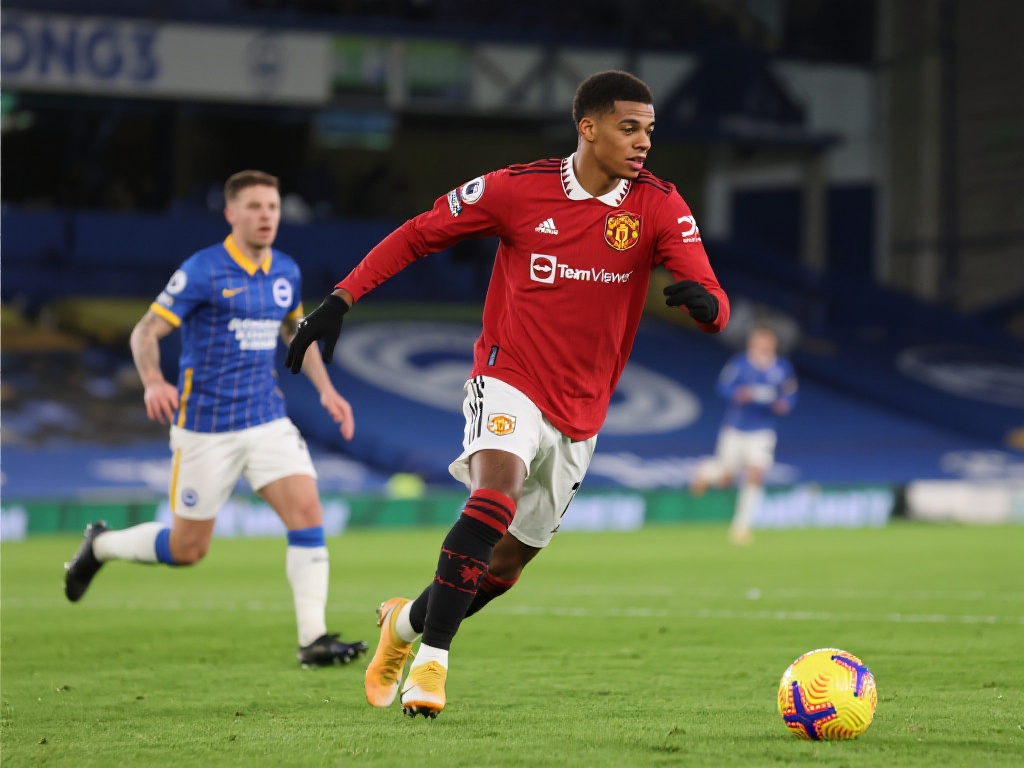 整的余地 整的余地