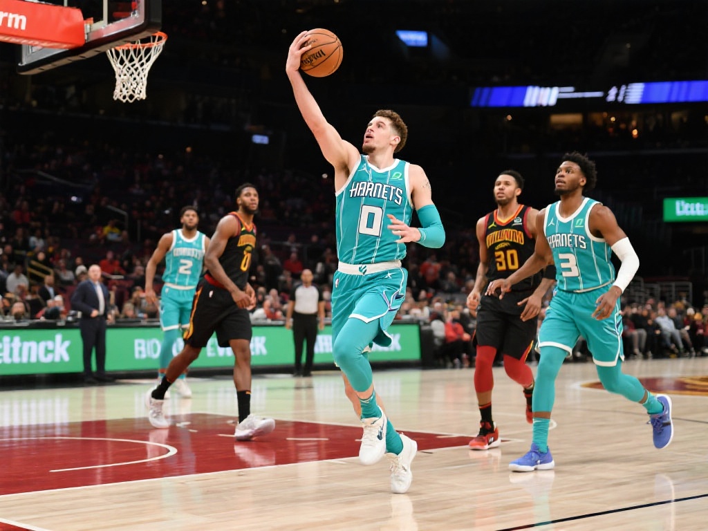 平台还提供 平台还提供